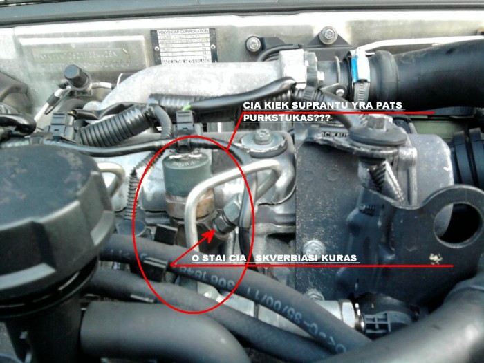 Nuotrauka0025  01.JPG